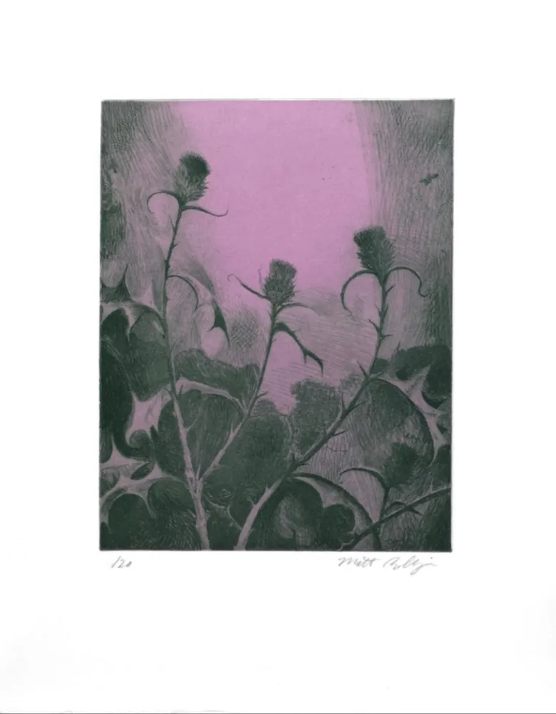 Gravure Bollinger - Dusk Thistle