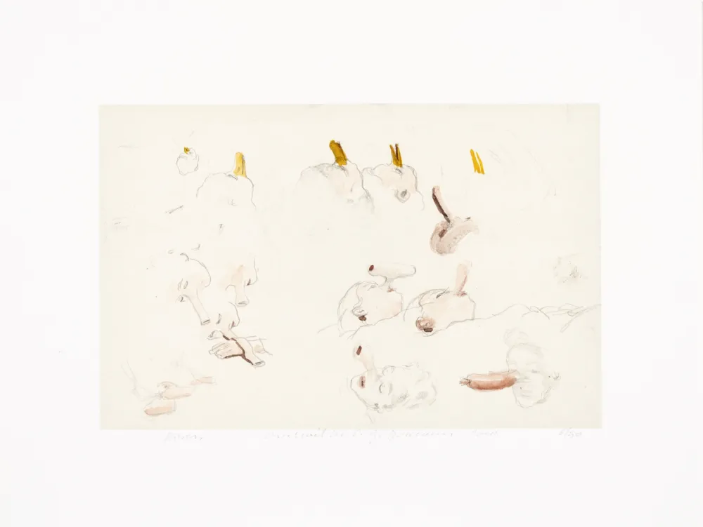 Estampe Numérique Borremans - Noses