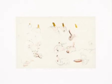 Estampe Numérique Borremans - Noses