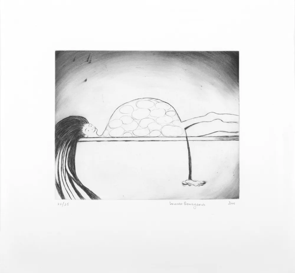 Gravure Bourgeois - Medical Print