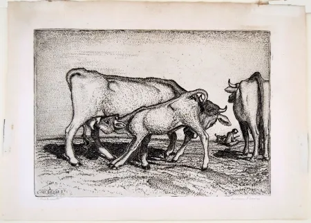 Gravure Bozzetti - LA VACCA E IL BOCCINO (The cow and the calf), fourth version. 