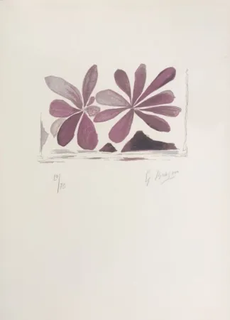 Lithographie Braque - Fleurs de l'air 
