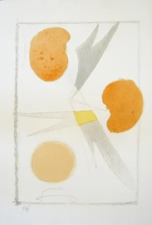 Lithographie Braque - Tirée de La liberté des mers