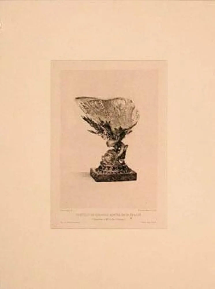 Gravure Buhot - Coquille de girasole