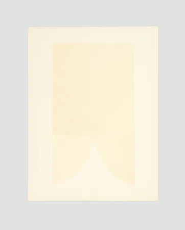 Lithographie Burri - Bianchi e neri II-A