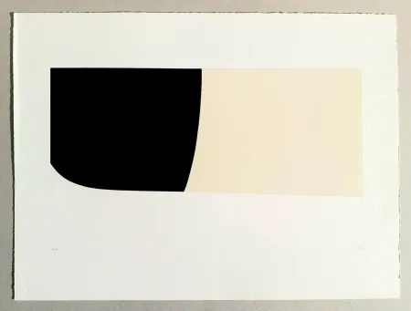 Lithographie Burri - Bianchi e neri II