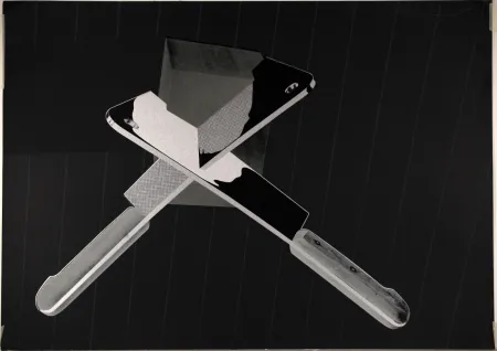 Sérigraphie Burwitz - Cross-Purpose