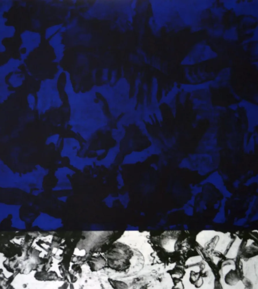 Aquatinte Cabrita Reis - E as estrelas do céu cairam na terra....IV