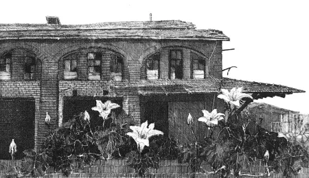 Eau-Forte Cacciarini - Il giardino della fabbrica