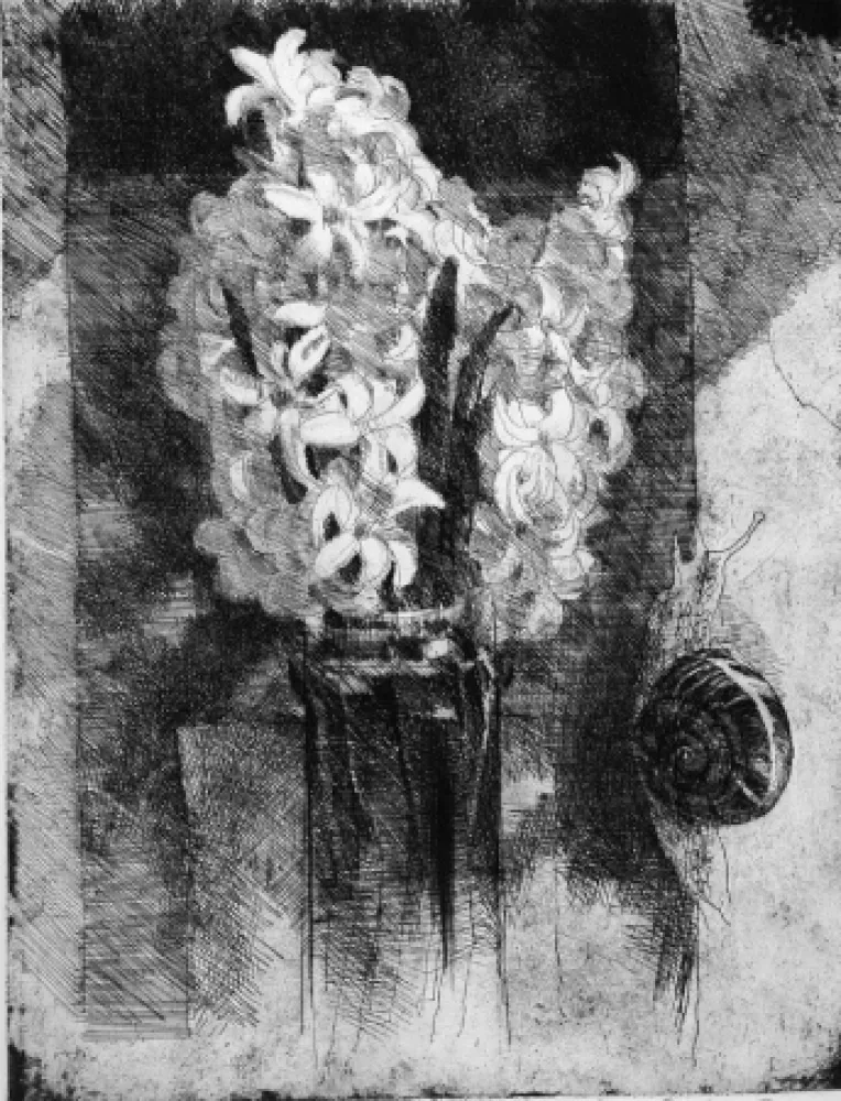 Eau-Forte Calandri - Giacinti