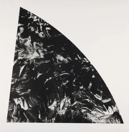 Lithographie Calder - Baie Rouge