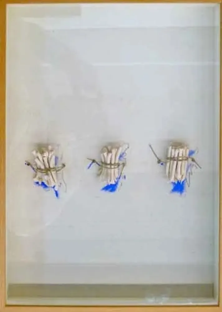 Aucune Technique Calvo - Historia pendiente