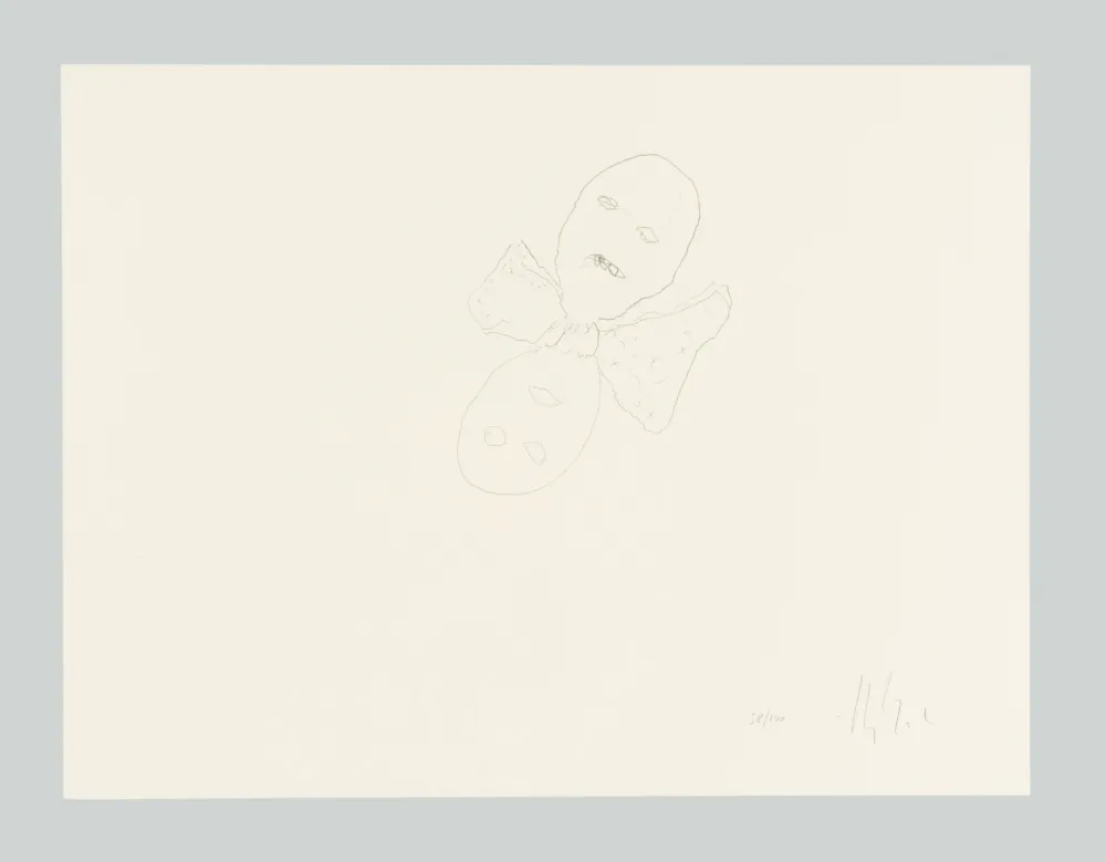 Lithographie Calzolari - Senza titolo