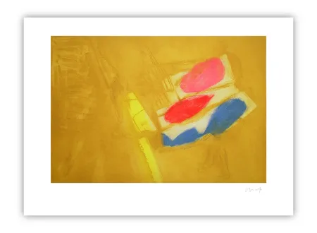 Gravure Capa - Diagonal colors (S.S.)