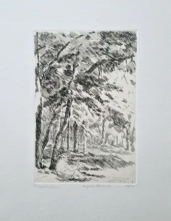 Eau-Forte Castellani - Angolo di bosco