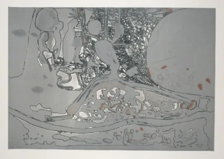 Eau-Forte Et Aquatinte Castillo - Jardin de invierno 2