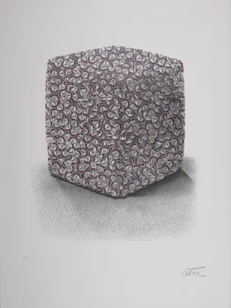 Sérigraphie Cesar - Portrait de Compression, C. 1980-1985