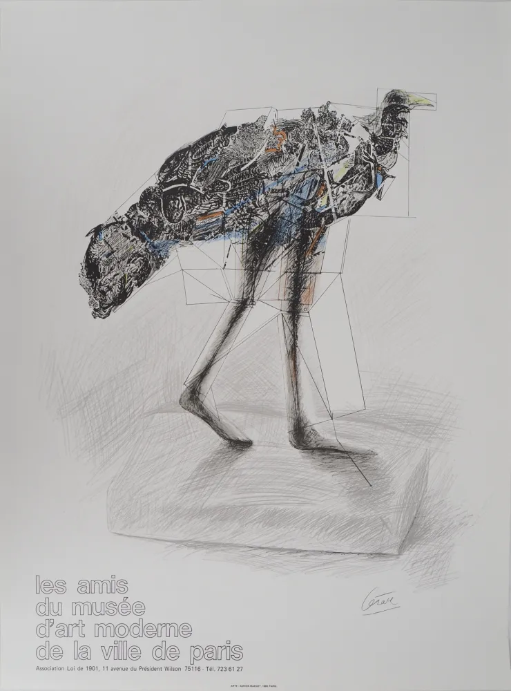 Livre Illustré Cesar - Poule en marche