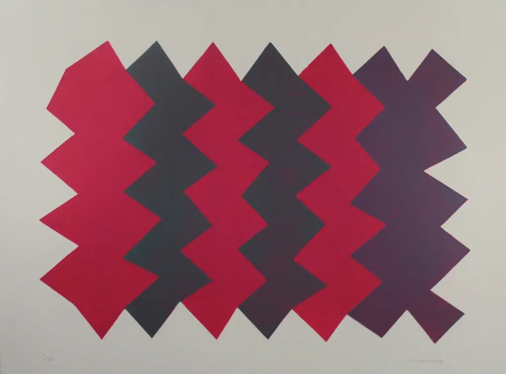 Aquatinte Chancho - Montserrat 7