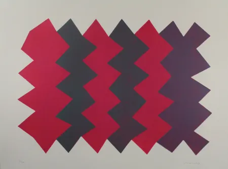 Aquatinte Chancho - Montserrat 7