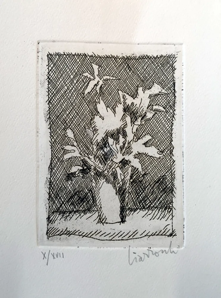 Eau-Forte Ciarrocchi - Fiori