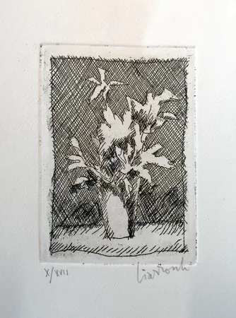 Eau-Forte Ciarrocchi - Fiori