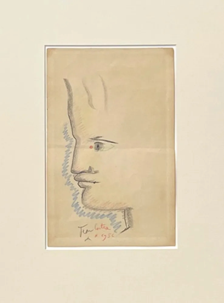 Aucune Technique Cocteau - Profil à gauche