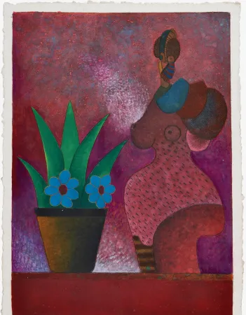 Aucune Technique Cora - La Jardinera