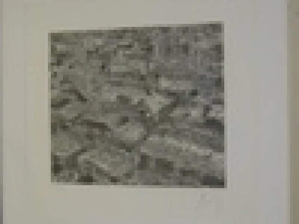 Gravure Cragg - Traffic