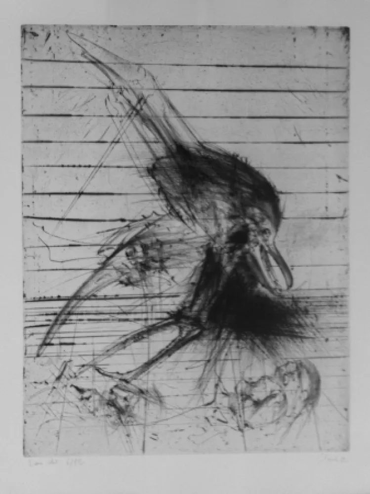 Gravure Dado - Sans titre