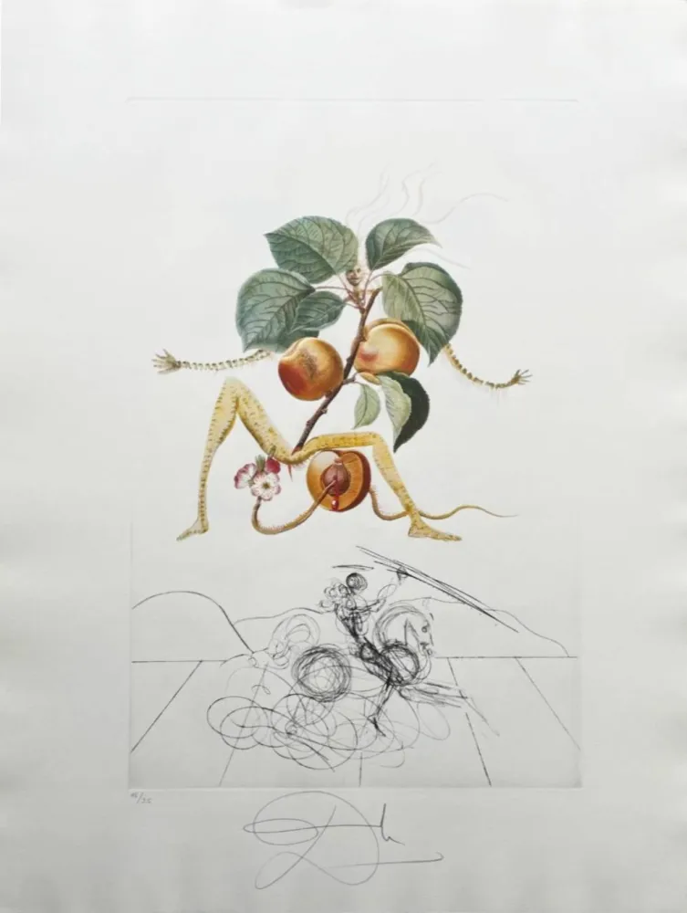 Lithographie Dali - Abricot chevalier (Apricot Knight)