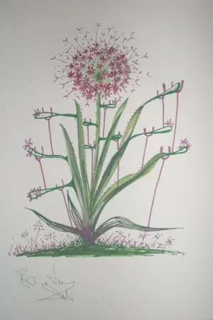 Lithographie Dali -  Desert Cactus (surrealistic flowers)