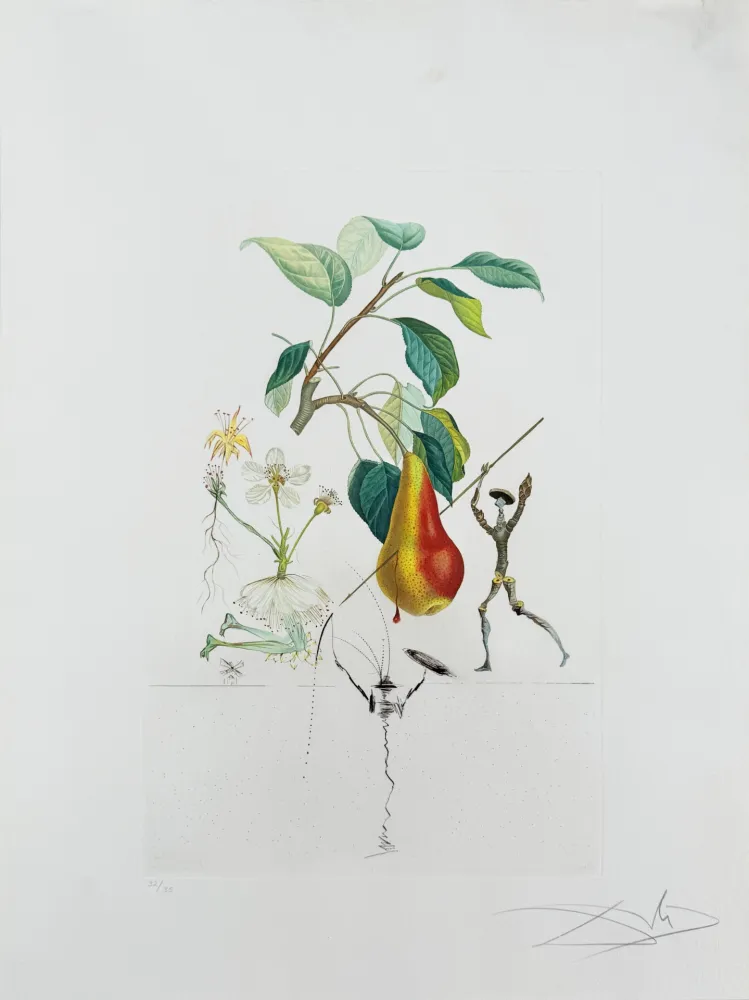 Lithographie Dali - Don Quixote Pear from Flordali suite