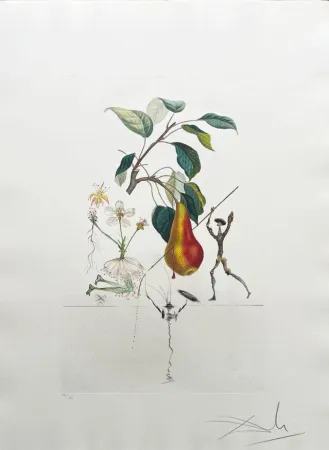 Lithographie Dali - Don Quixote Pear from Flordali suite