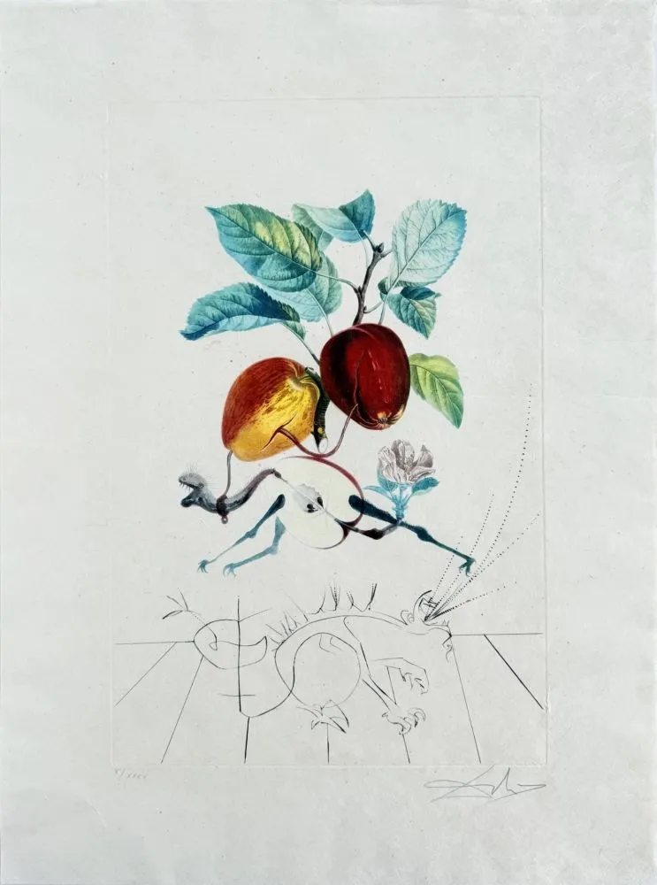Lithographie Dali - Dragon Apple from Flordali suite