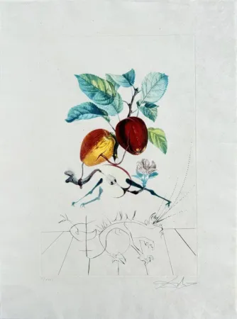 Lithographie Dali - Dragon Apple from Flordali suite