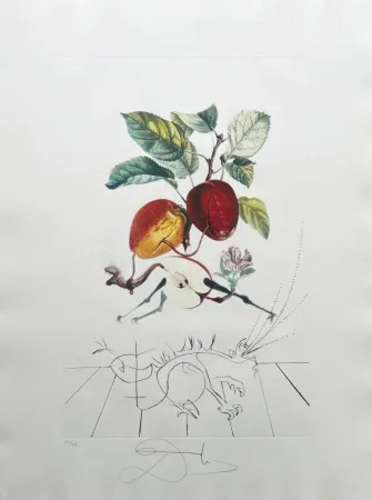 Lithographie Dali - Dragon Apple from Flordali suite
