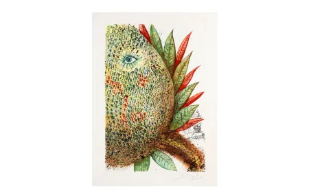 Eau-Forte Et Aquatinte Dali - FLEURS RÊVÉES. Portfolio complet. 7 estampes (1970)