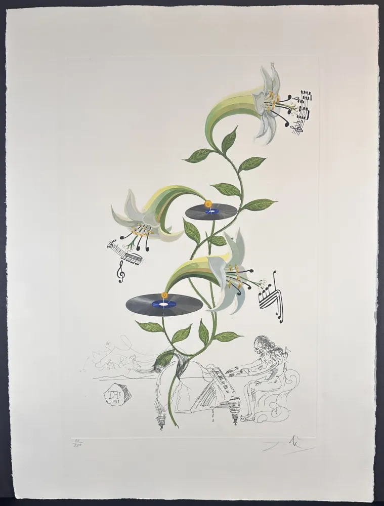 Gravure Dali - Flora Dalinae Lilium Musicum