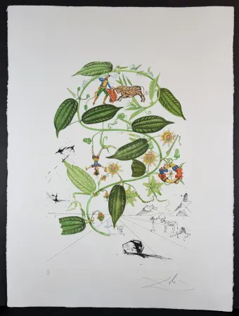 Gravure Dali - Flora Dalinae Passionflower