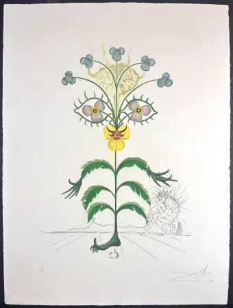 Gravure Dali - Flora Dalinae Viola Cogitans/Self-Portrait Pansy