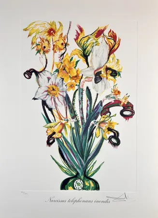 Gravure Dali - Florals Daffodils of Love