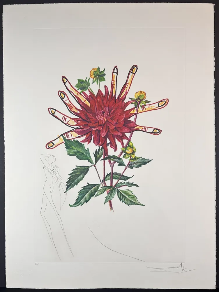 Gravure Dali - Florals Dahlia (+ Fingers) Venus
