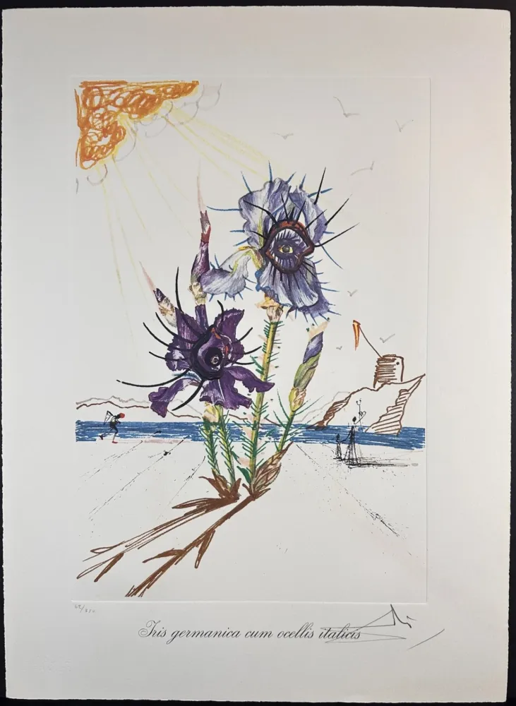 Lithographie Dali - Florals Iris of Dali's Youth
