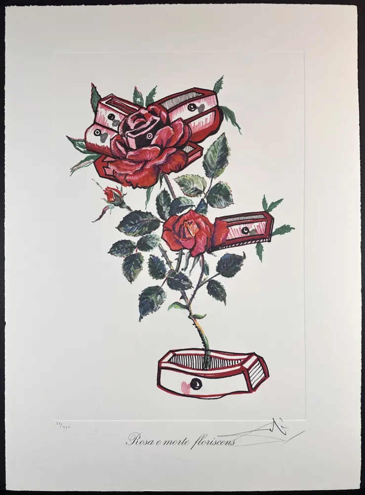 Gravure Dali - Florals Roses of Memory