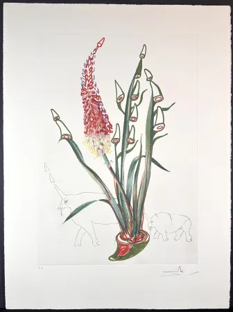 Gravure Dali - Florals Stock Rhinos