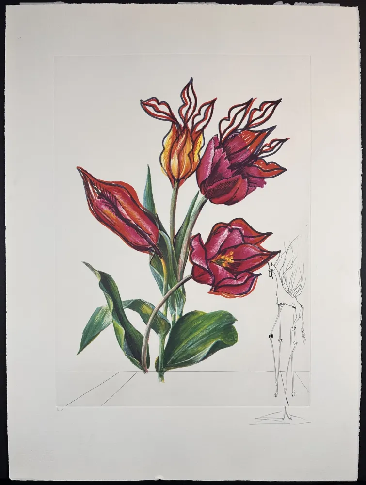 Gravure Dali - Florals Tulips Girafe en Feu
