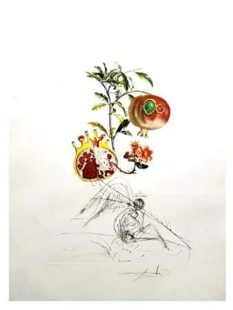 Gravure Dali - Flordali - Grenade et l'Ange