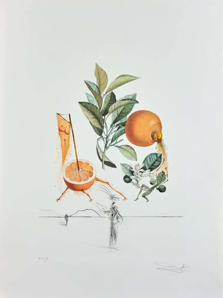 Gravure Dali - Flordali - Pamplemousse Erotique