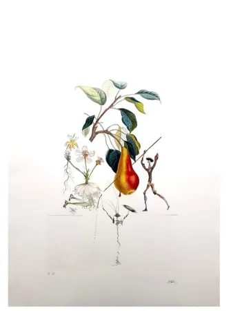 Gravure Dali - Flordali - Poire Don Quixote
